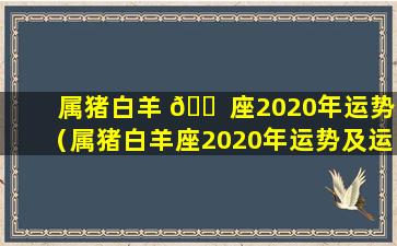 属猪白羊 🐠 座2020年运势（属猪白羊座2020年运势及运程）